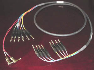 ProTools Digi 001 harness